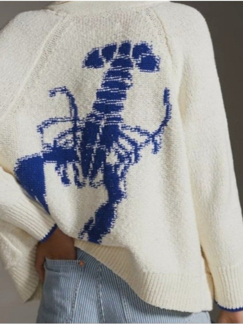 Maeve Anthropologie Lobster Graphic Print Knit Sweater Cardigan Small Women's